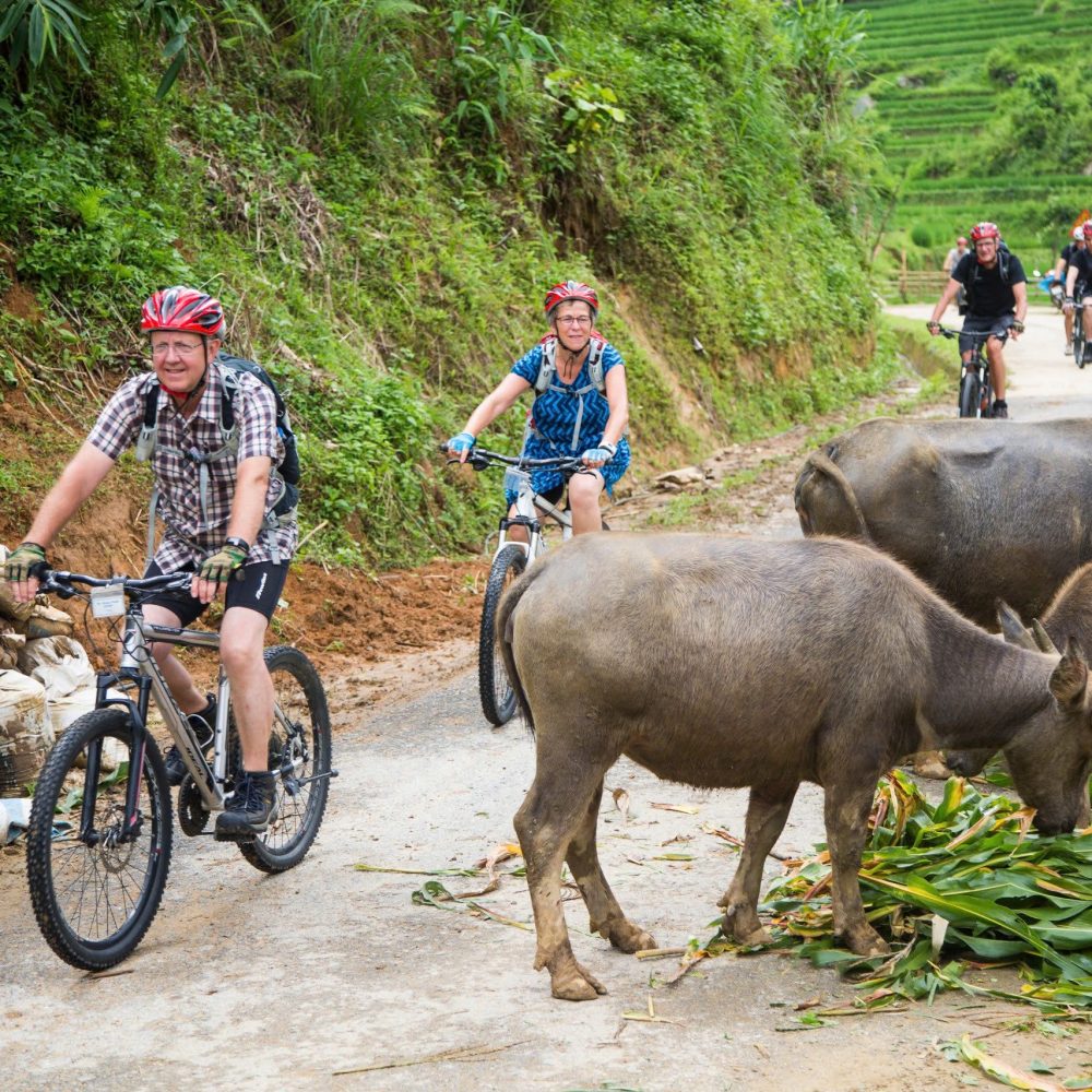 Deeper into the vally - Biking - Day tour _ Topas Ecolodge_3