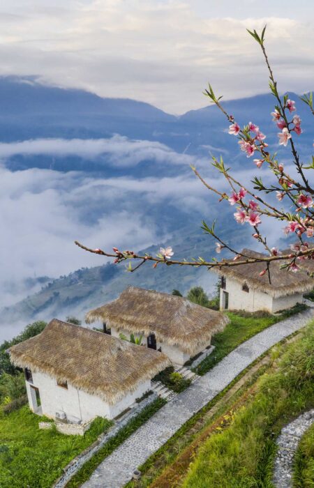 Embrace-the-Year-of-the-Dragon-at-Sapa-Hilltop--02